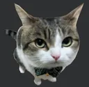 hdgent