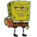 spongesus