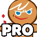 pro pro