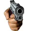 Gun