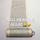 Aintreadingallat