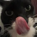 whattheblehhhh whattheblehhhh
