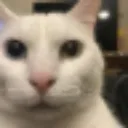 huh