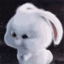 PG_Bhakkk_Bhakk