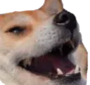 CS_Doggolaugh Discord Emoji