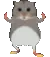 ratdance ratdance