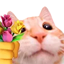 cat_with_flowers cat_with_flowers