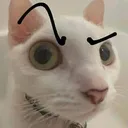 wuot