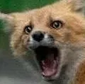 aaAAAA
