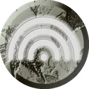 PlaneElysium