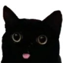 Cat Bleep Discord Emoji
