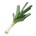 leek leek