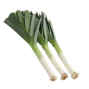 leeks Discord Emoji