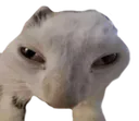 howboutIfuckinkillyou