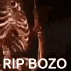 ripbozo