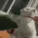 cat_attack