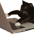 Cattype Discord Emoji