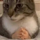Catagree