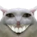 DD