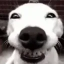 smileyyyye smileyyyye