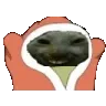 xddBlankies