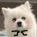 doggo_pls