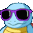 cool_squirtle