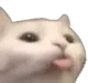 172_cat_blep 172_cat_blep