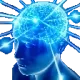 109_bigbrain 109_bigbrain