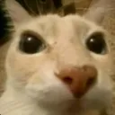 huelerico