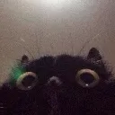 Lurking