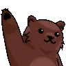 BearWave