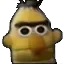 bert_stare_face