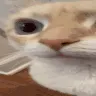 uuh1