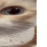 uuh2