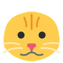 cat_bald