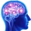 brainz