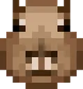 pixcapy