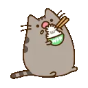 PusheenRice