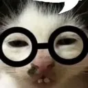 catnerd1 Discord Emoji