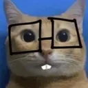 catnerd2 Discord Emoji