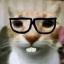 catnerd3 Discord Emoji