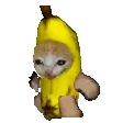 BananaCat