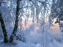 icestorm