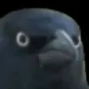 CrowOfJudgement CrowOfJudgement