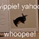 yipeeyahoowhoopee
