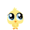 lps_chick