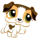 lps_jackrussel