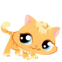 lps_kitten