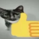 catThumbsUp